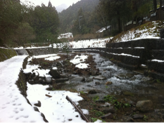 image-20110104081703.png